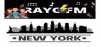 Logo for Rayo FM New York