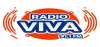Logo for Radio VIVA 91.1