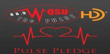 The Pulse, WQSU