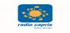 Logo for Radio Capris Poletje