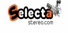 Selecta Stereo Electrónica