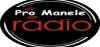 Logo for Radio Pro Manele