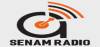 Logo for Senam Radio