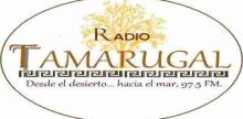 Radio Tamarugal