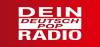 Logo for Radio 91.2 FM – Dein Detsch Pop