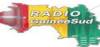Logo for Radio Guinee Sud