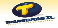 Transbrasil FM
