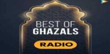 Hungama - Best of Ghazals