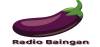 Logo for Radio Baingan
