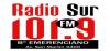 Logo for Radio Sur 101.9