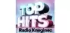 Logo for Top Hits Radio Kneginec