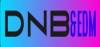 Logo for DnB&EDM