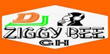 Dj Ziggy bee GH