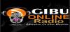 Logo for Gibu Online Radio