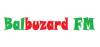 Logo for Balbuzard FM