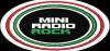 Logo for Mini Radio Rock