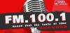Logo for Pudong FM 100.1
