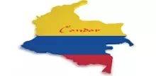Condor Colombiana