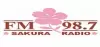 Logo for Sakura Radio FM 98.7