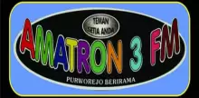 Amatron 3 FM