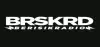 Logo for Berisik Radio