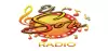 Logo for El Son Radio