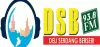 Logo for Radio DSB FM