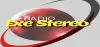 Logo for Radio Exe Stereo