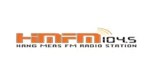 Radio Hang Meas FM