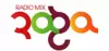 Logo for Radio Mix Raaga HD