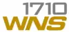 Logo for DWNS
