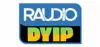 Logo for DYIP