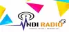 Logo for Indi Radio