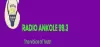 Logo for Radio Ankole 99.3 FM