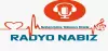 Logo for Radyo NABIZ – Yabancı Radyo