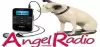 Logo for Angel Radio