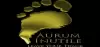 Logo for Aurum Inutile