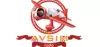 Logo for Avsim Radio