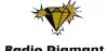 Logo for Radio Diamant