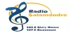 Logo for Radio Salamandre