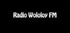 Logo for Radio Wololoy FM
