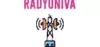 Logo for Radyo Niva