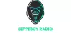 Logo for Seppeboy Radio