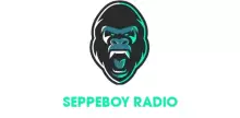 Seppeboy Radio