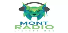 Mont Radio (École Mont-Saint-Sacrement)