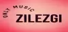 Logo for Zilezgi Radio