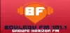 Logo for Boulgou FM 101.1