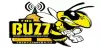 Logo for The Buzz