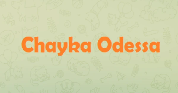 Chayka Odessa
