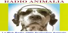 Radio Animalia